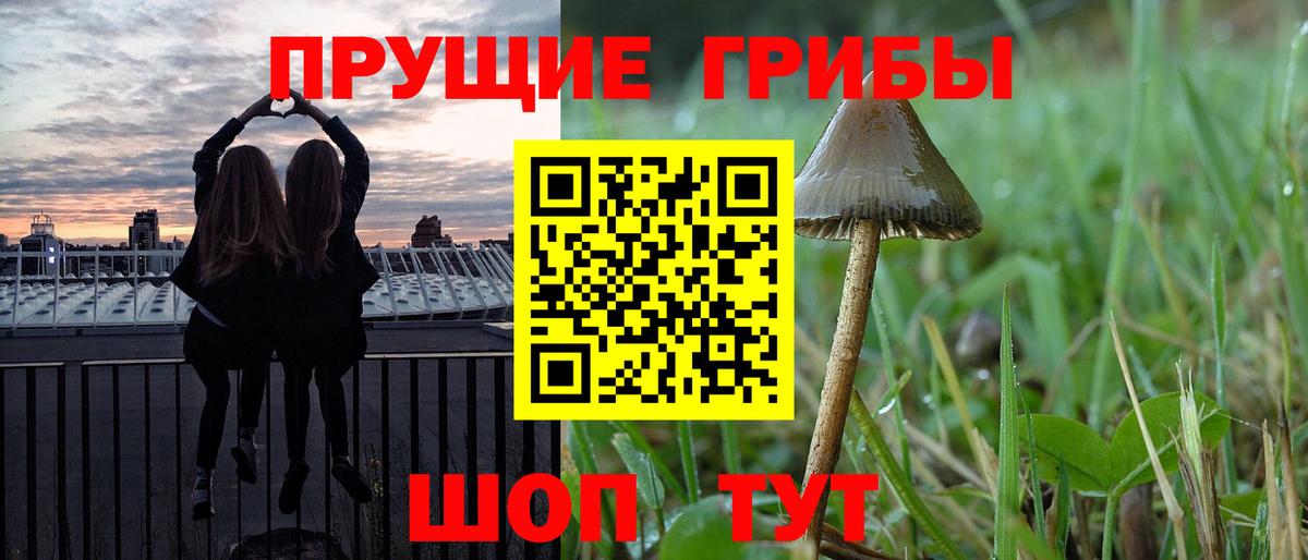 Киселёвск  Псилоцибиновые грибы ЛСД  Вход с VPN 