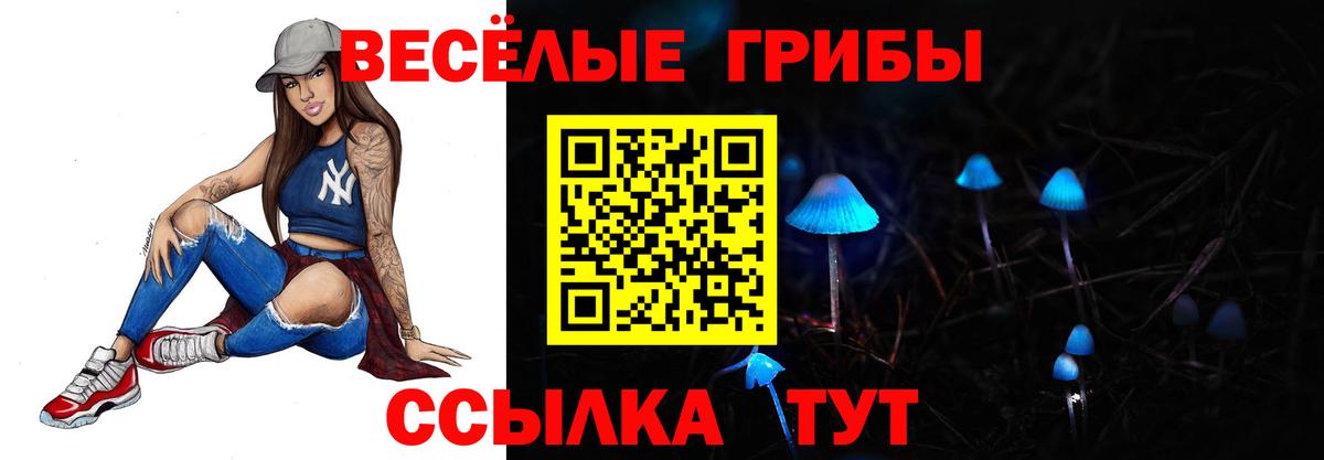 Псилоцибиновые грибы мухоморы Киселёвск