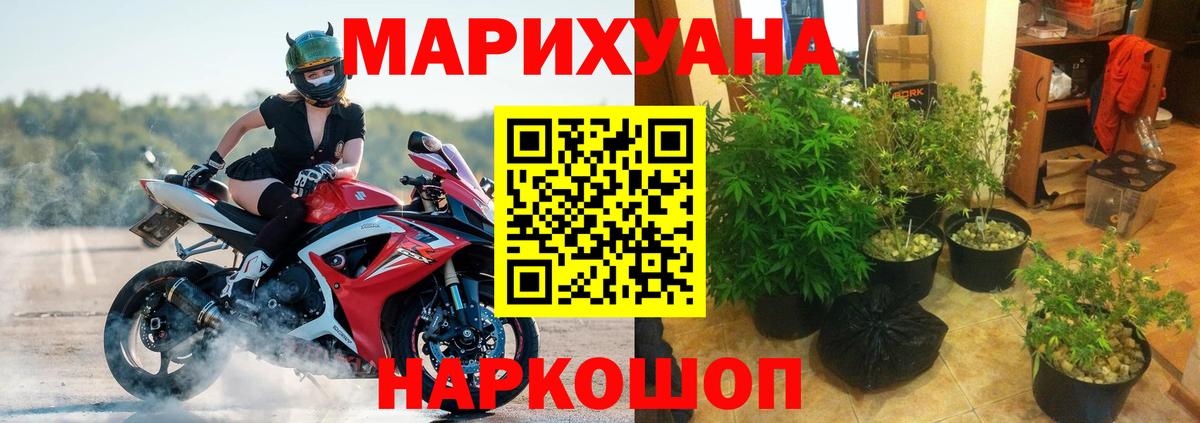 Киселёвск  Конопля конопля  Вход с VPN  Марихуана AK-47 